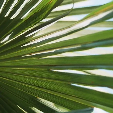 Schmid Bad Bellingen